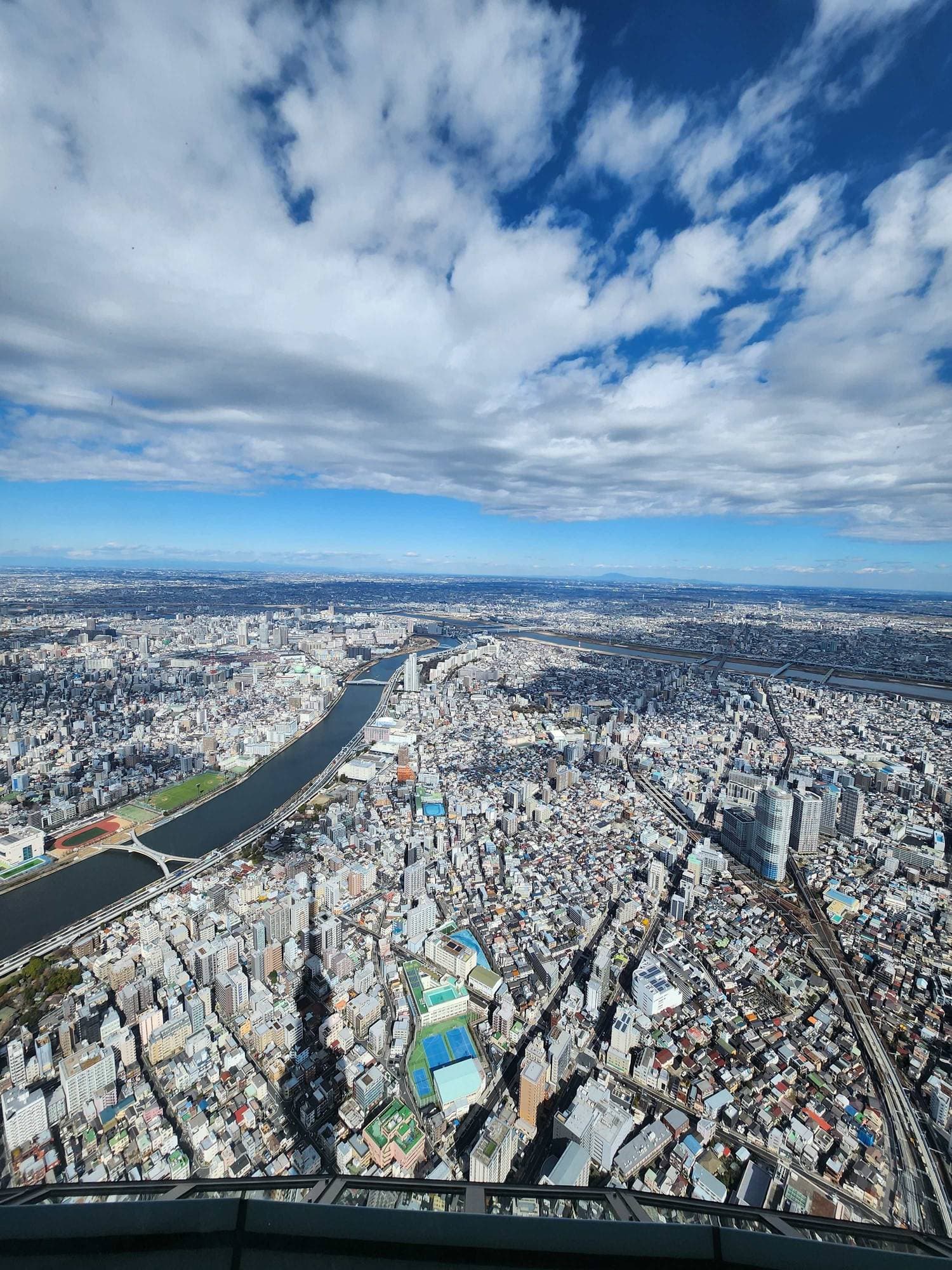 Aerial view of metropolitan cityscape with river