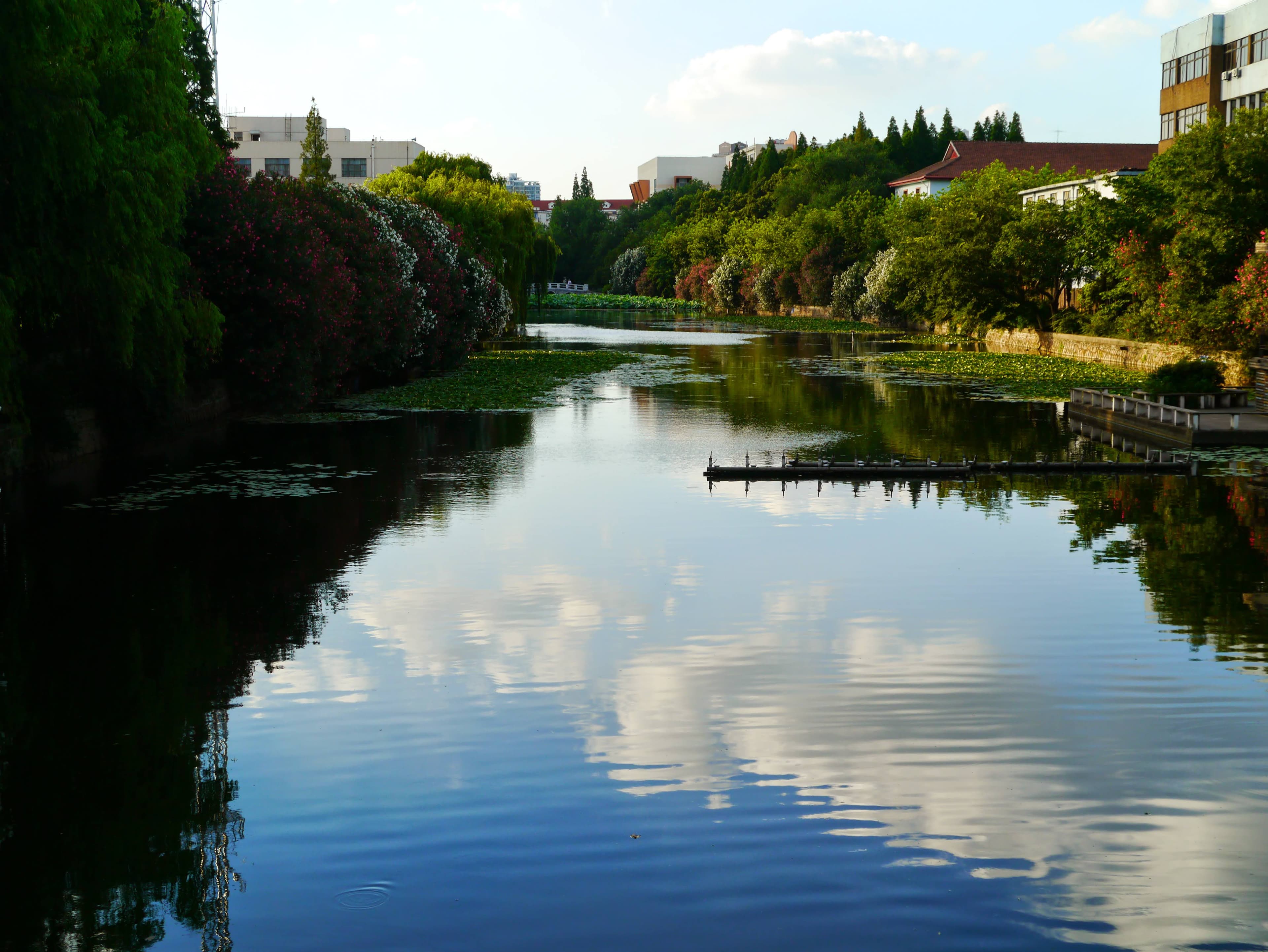 Serene waterway background